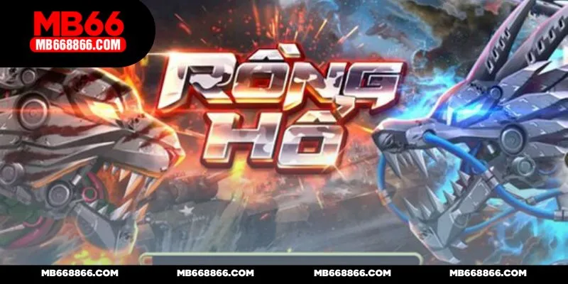 Rồng Hổ MB66